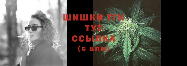 PSILOCYBIN Зеленодольск