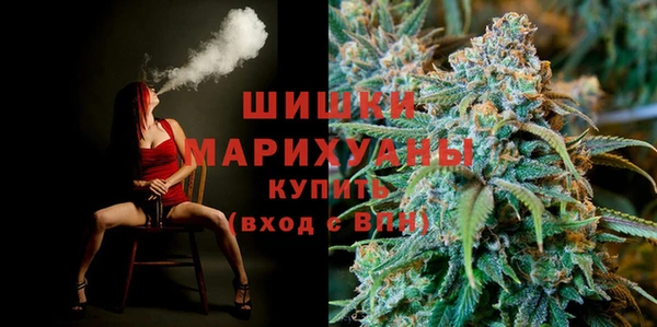 PSILOCYBIN Зеленодольск